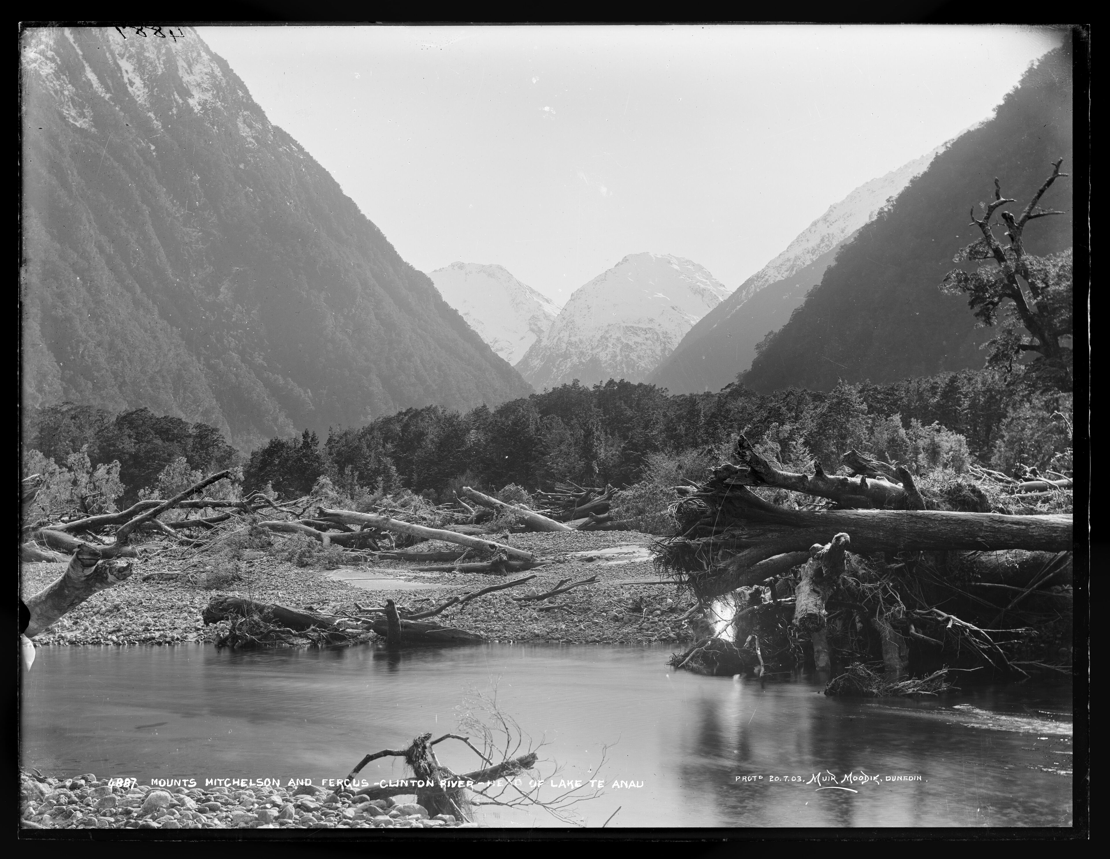 Mounts Mitchelson and Fergus.
