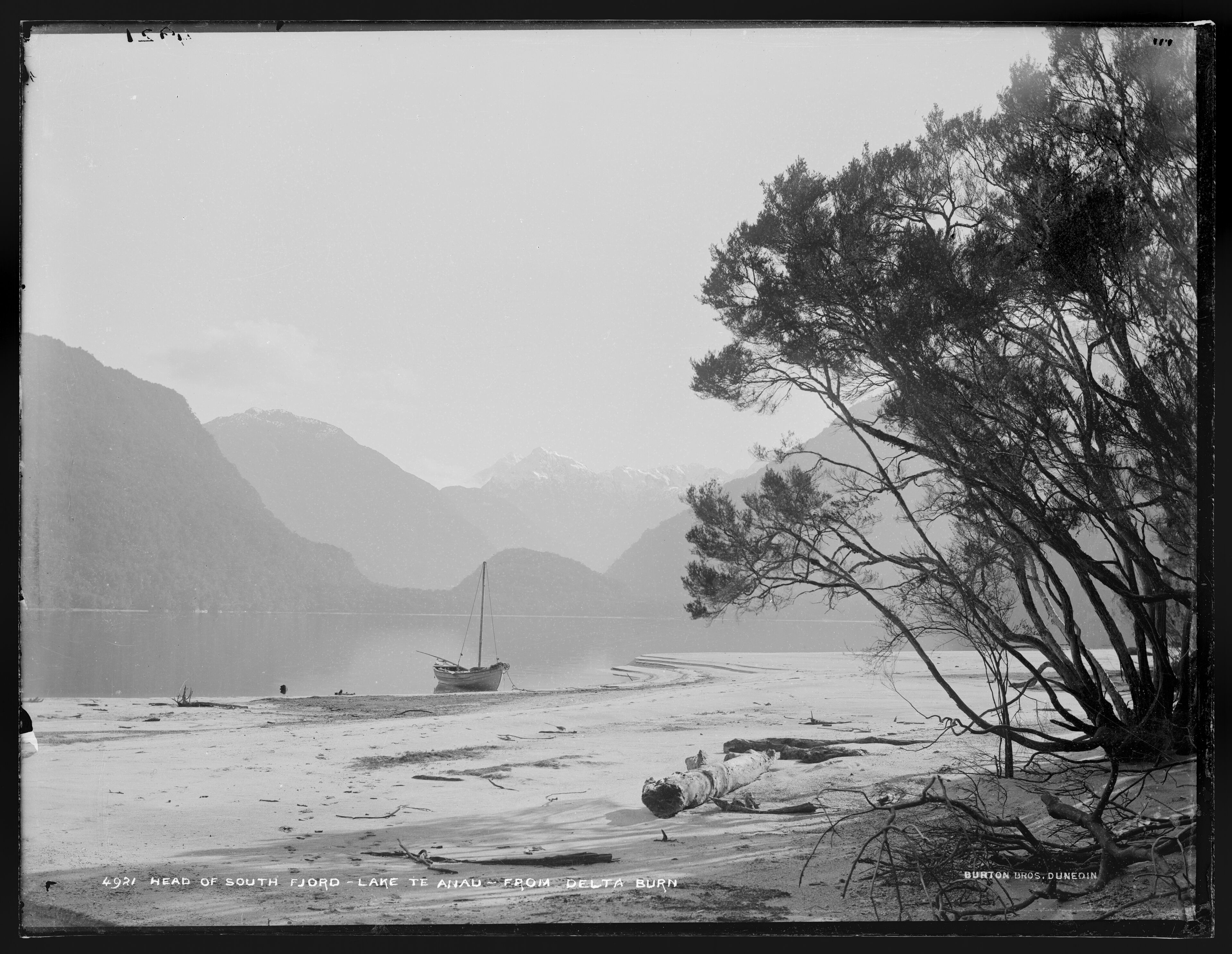 Head of South Fiord from Delta Burn.