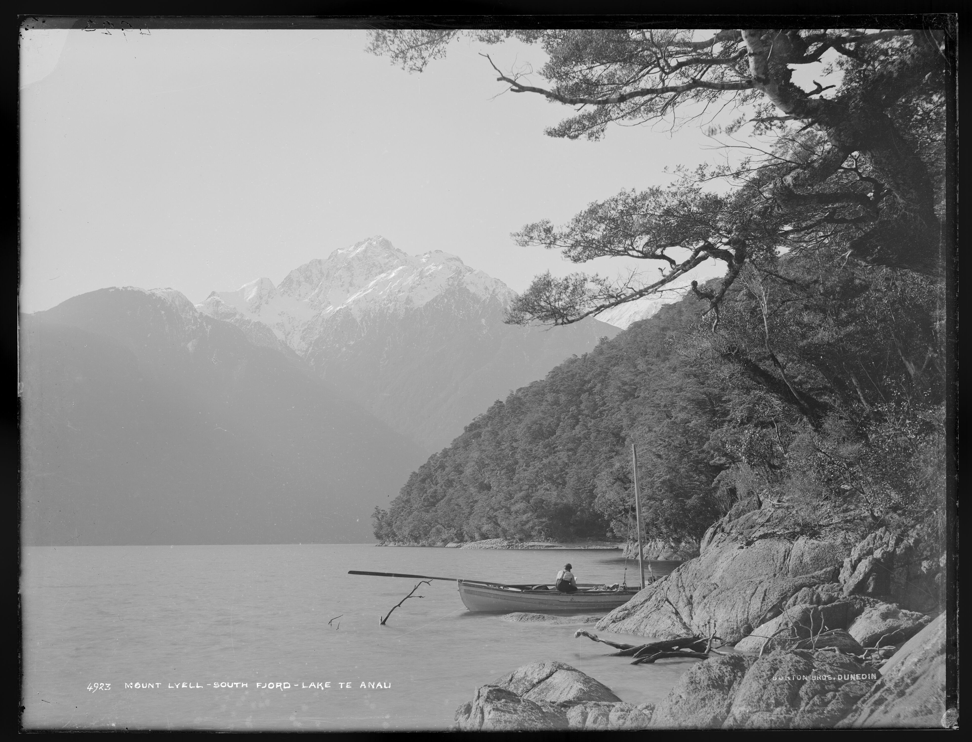 Mount Lyell, South Fiord.