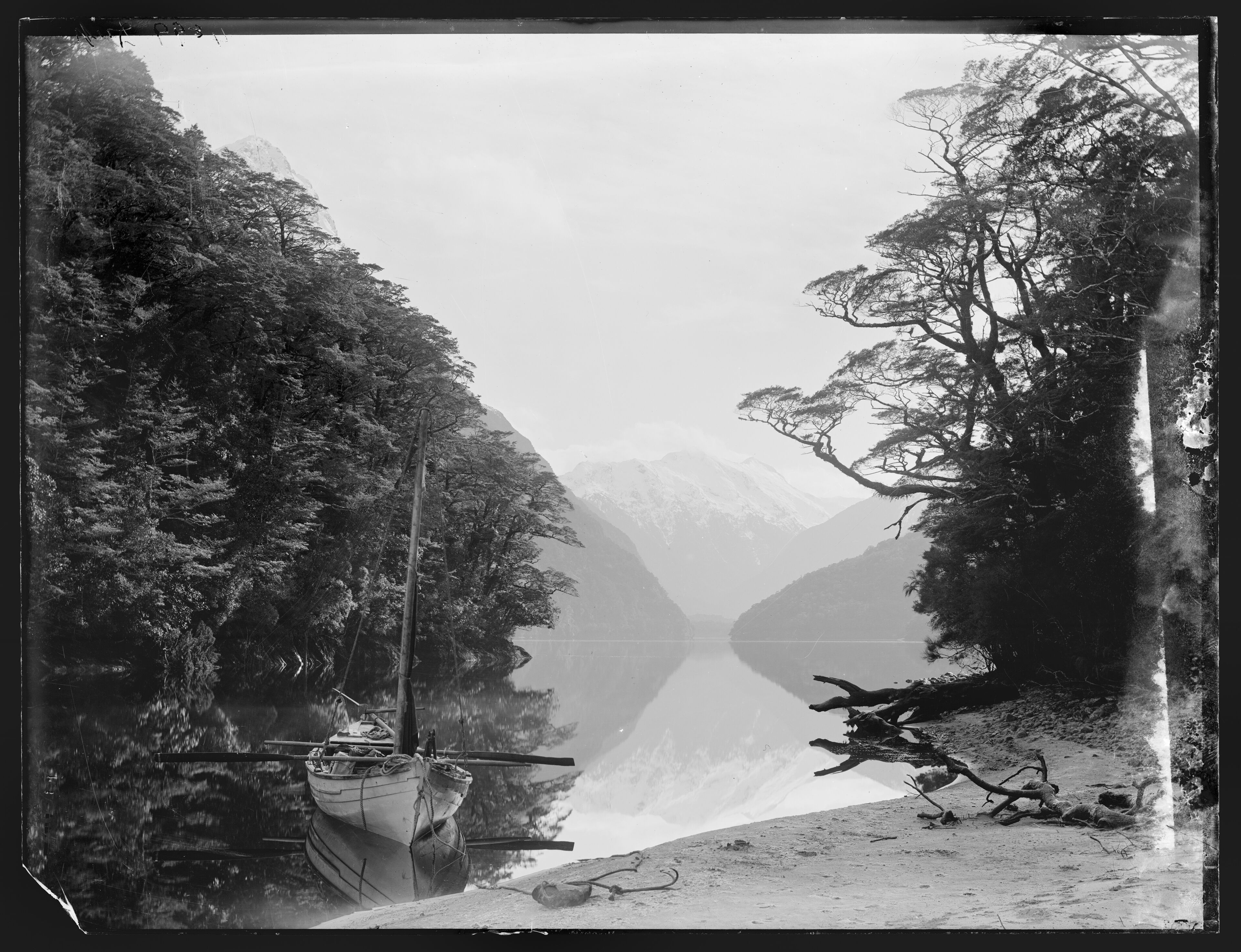 The Narrows, North Fiord.