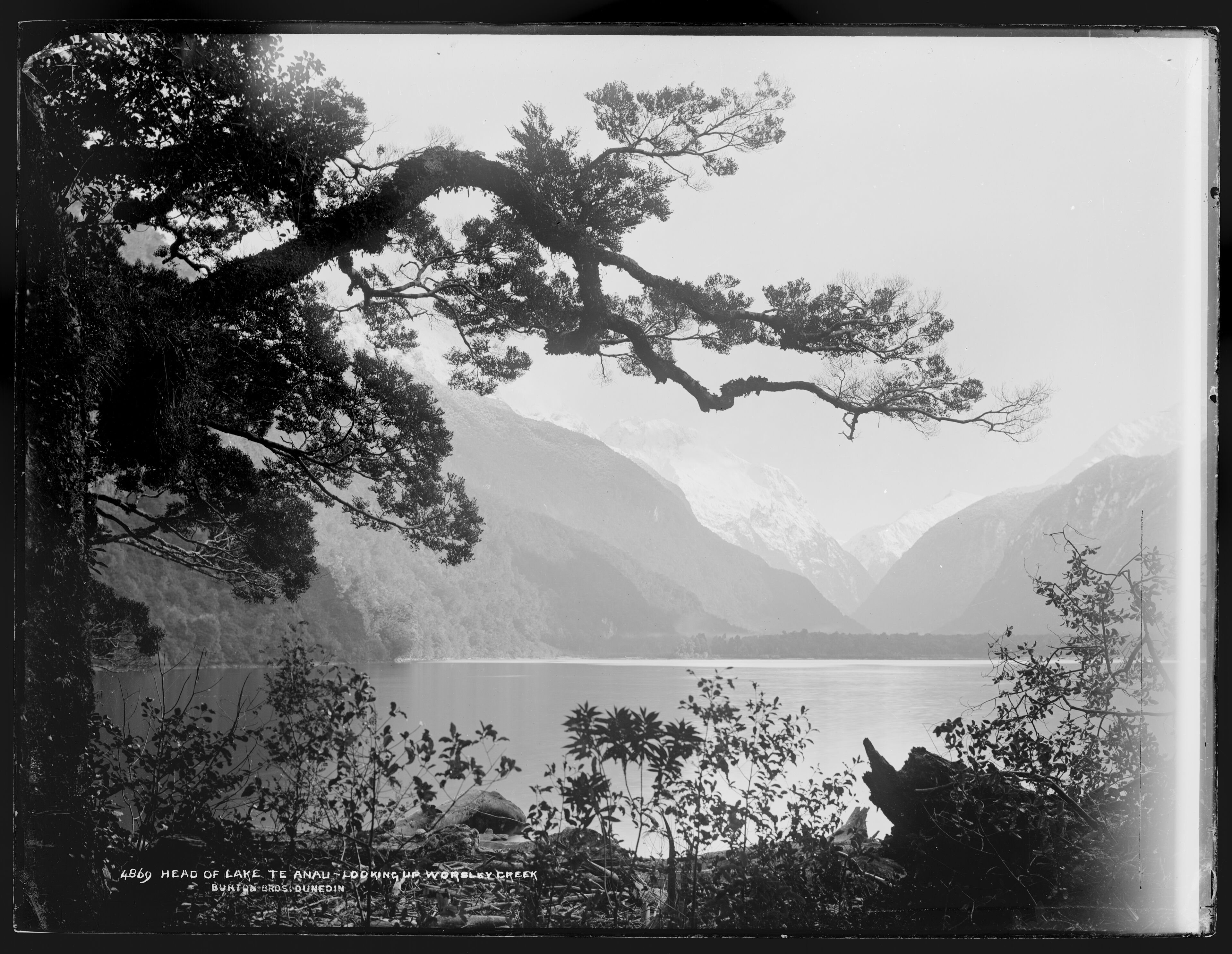 Shot from Sandfly Point. Looks over Lake Te Anau and up the valley of Worsley Stream.