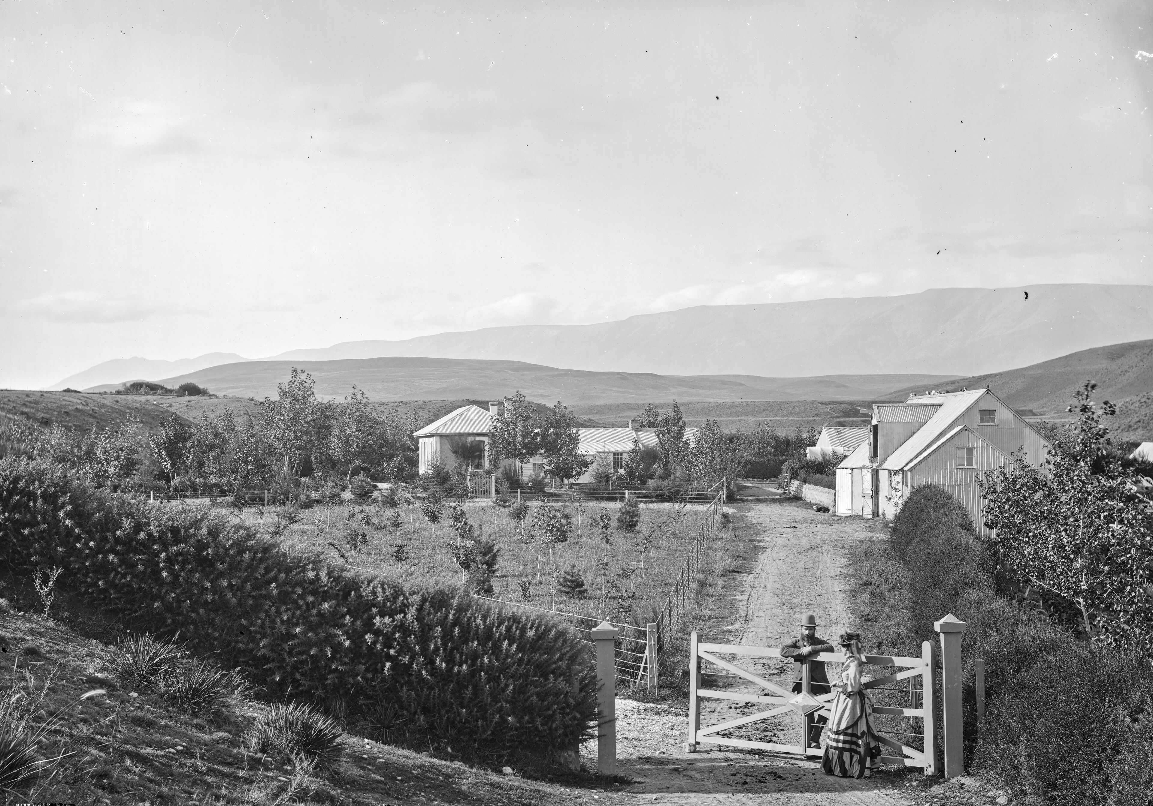 Hawkdun Station.