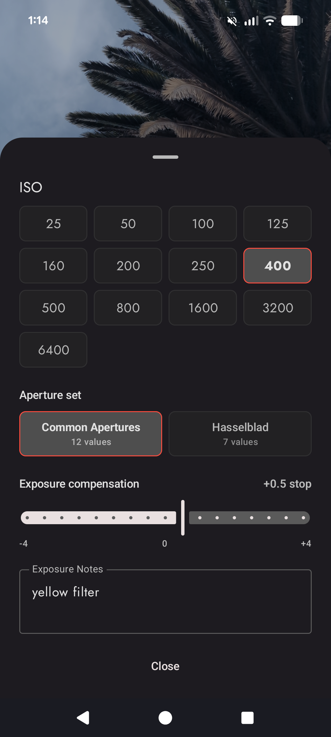 Black + White Preview Screen
