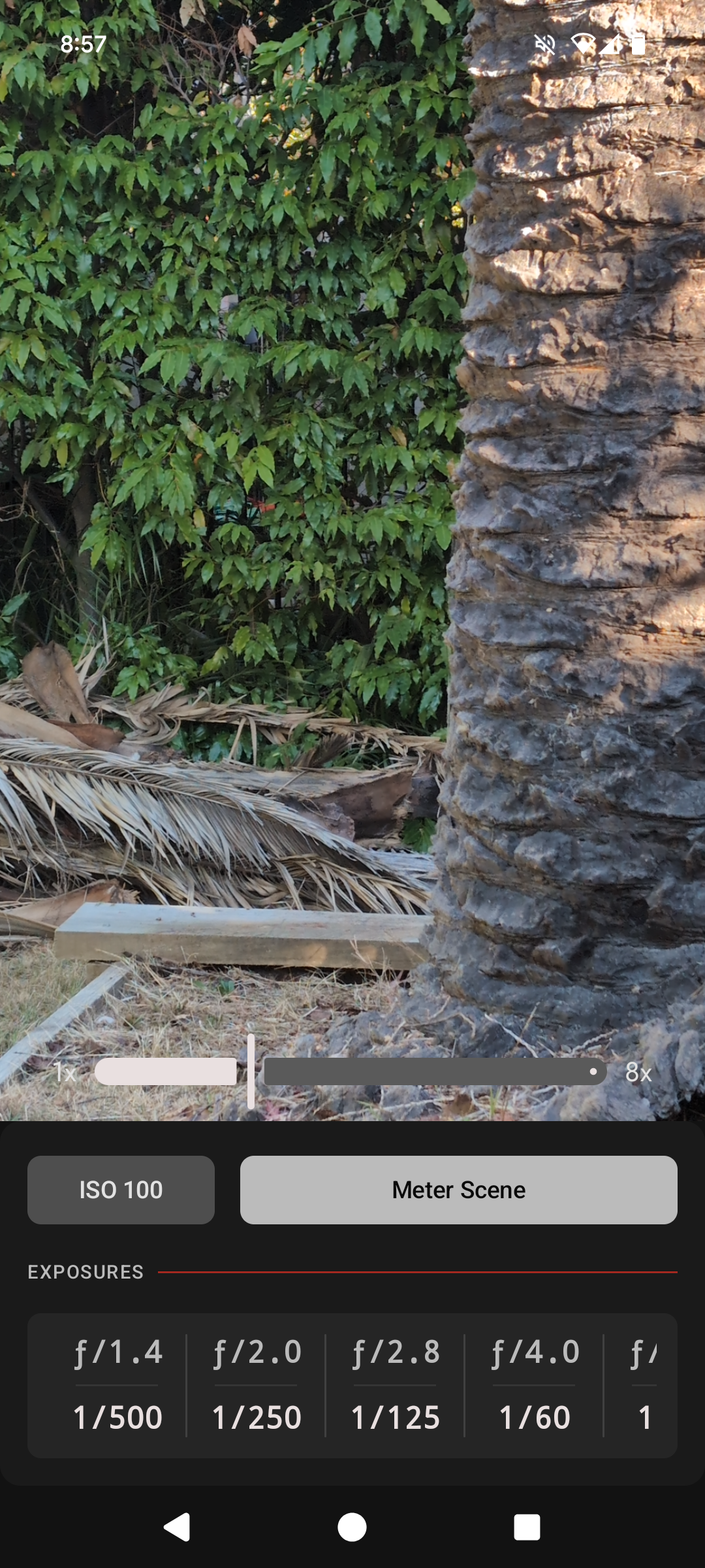 Black + White Preview Screen