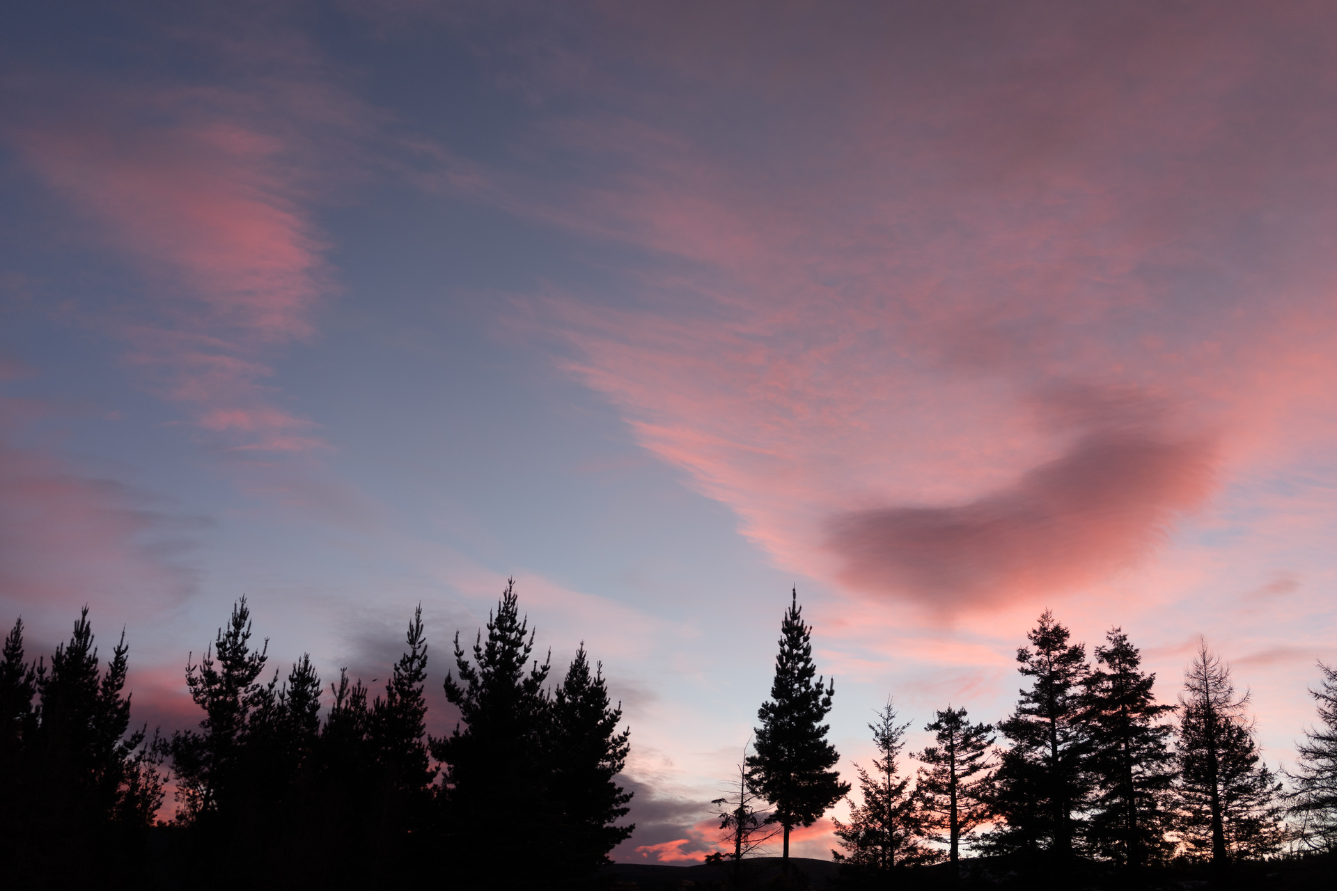 Rosy-fingered dawn