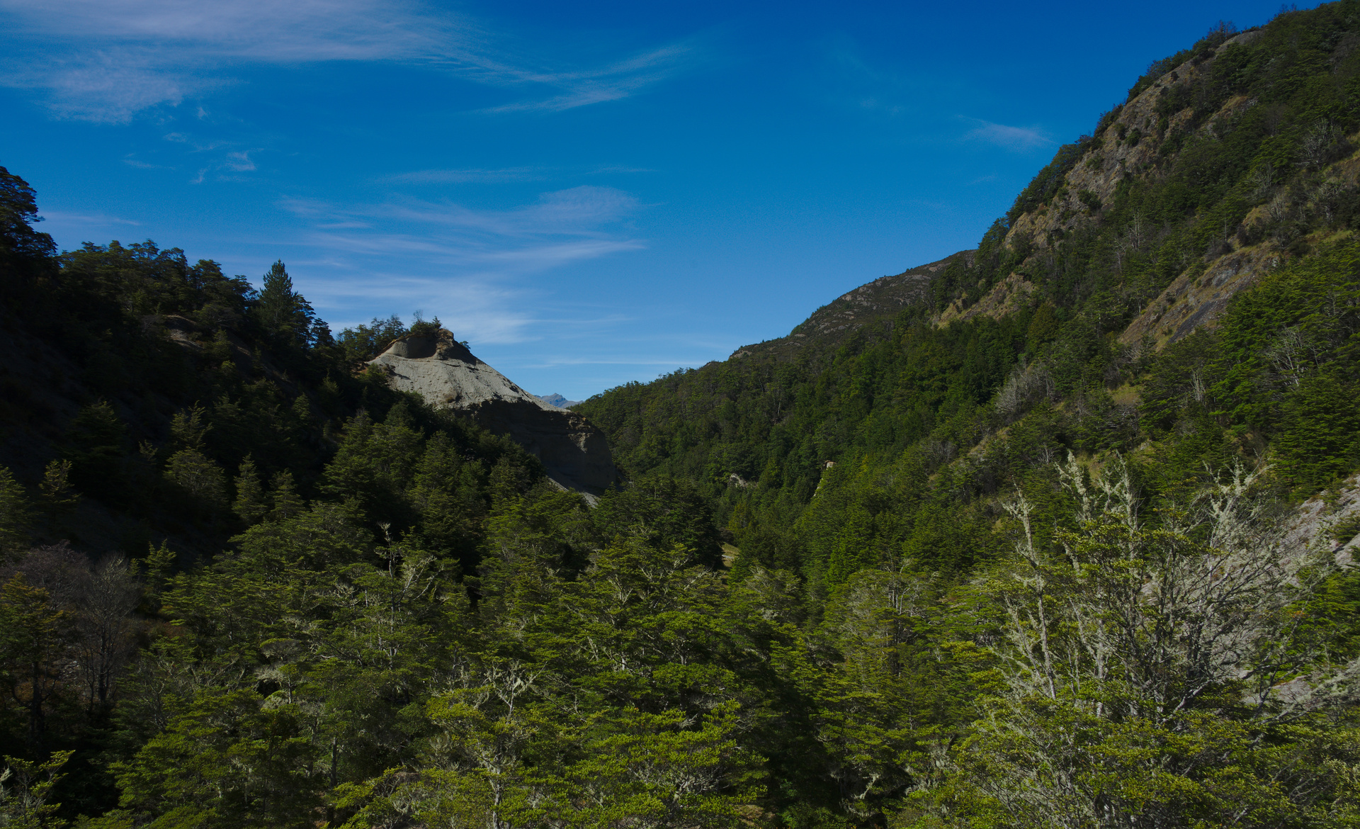 Sluiced valley of Twelve Mile Creek.