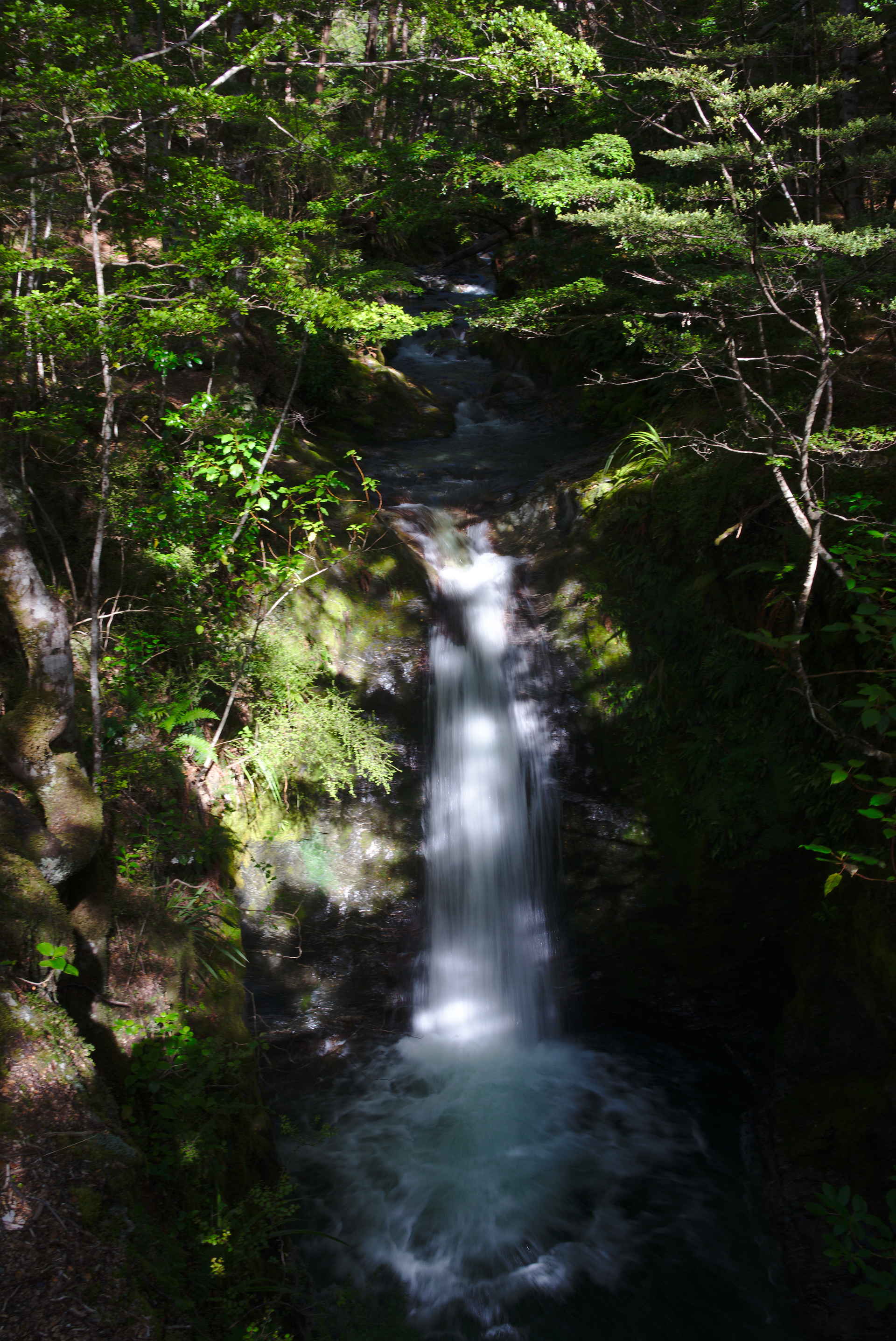 Twelve Mile Creek.