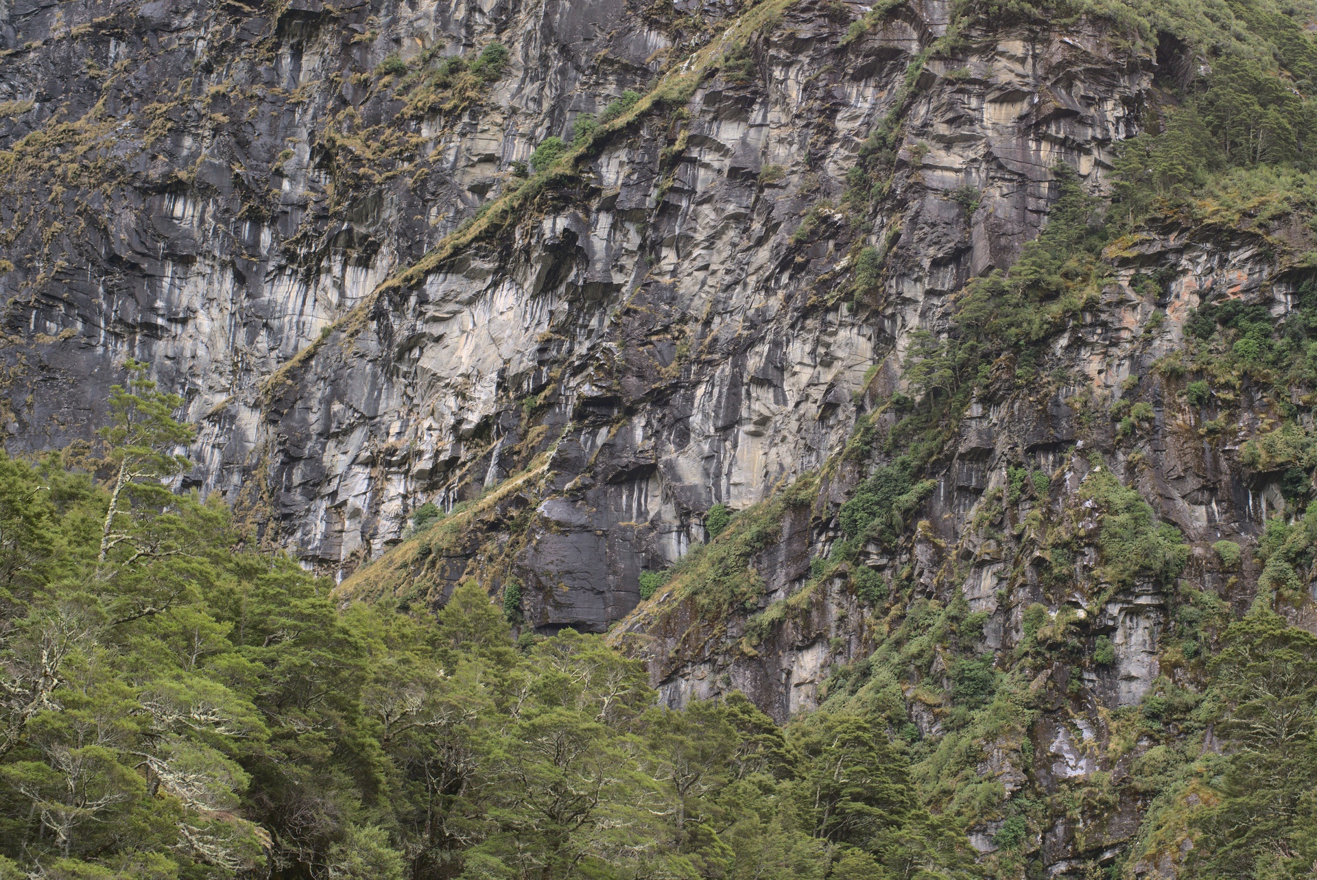 Rob Roy Glacier valley. Stopping down gives sharpness.