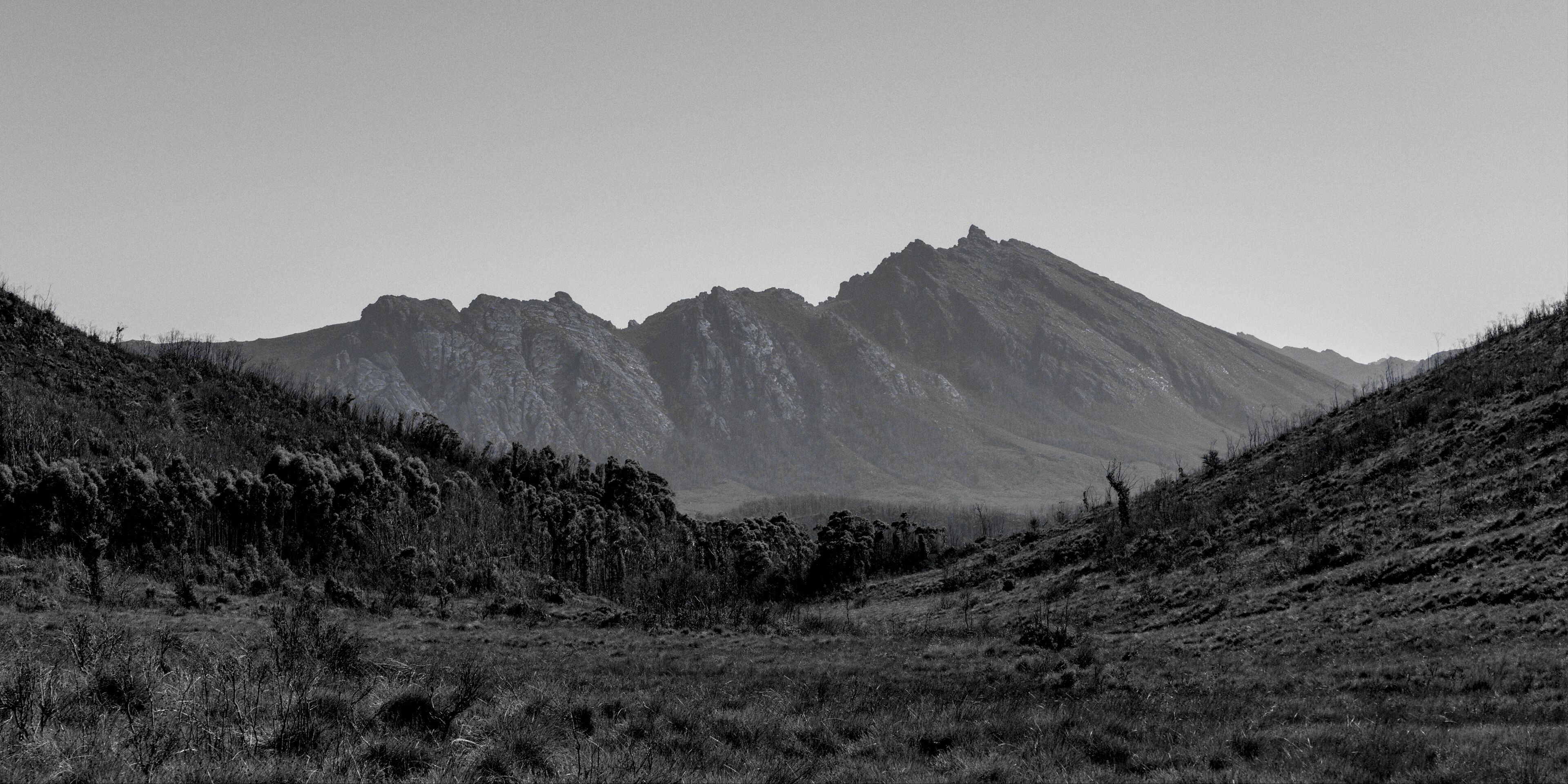 Taken from the highest point of Gordon River Road.