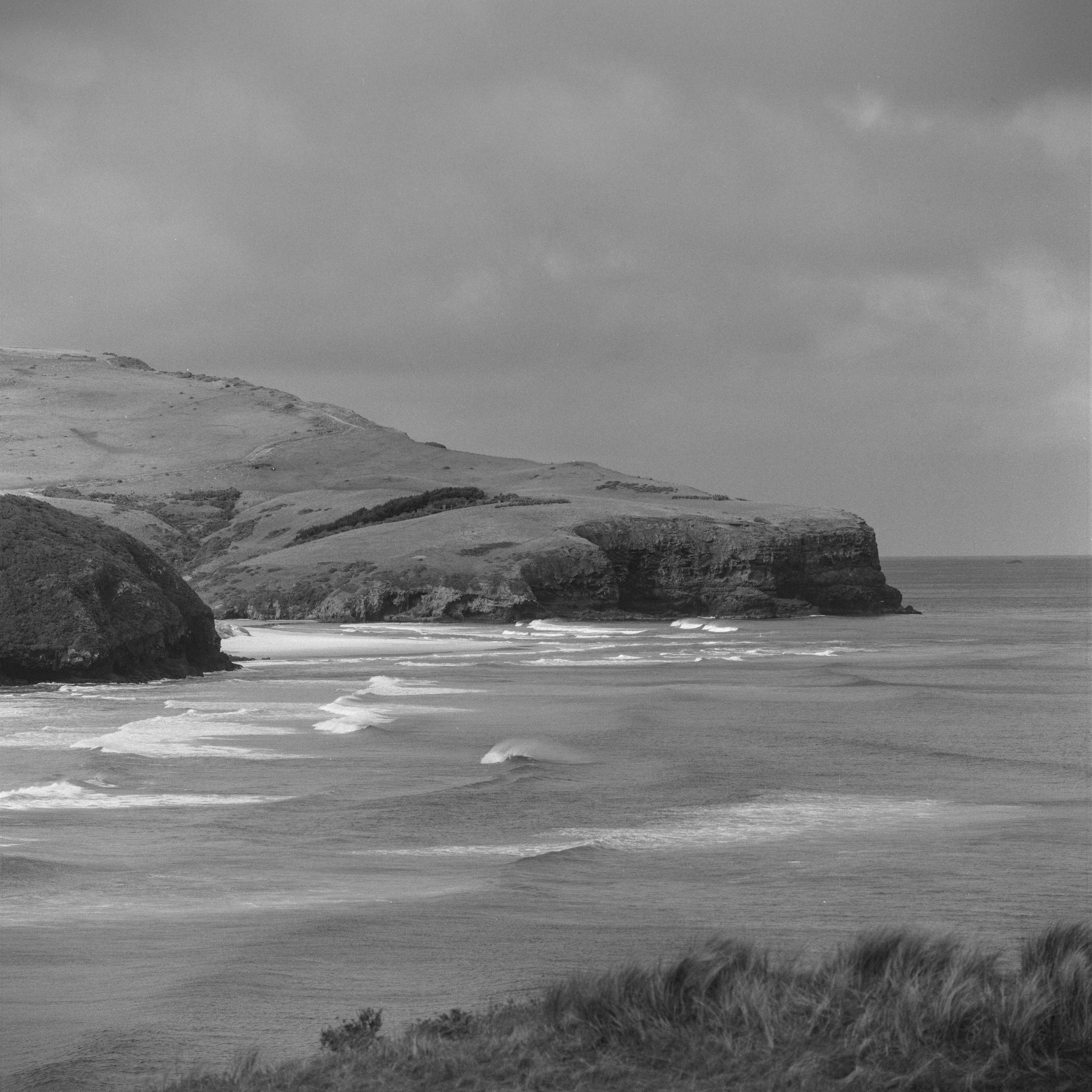 Dunedin &ndash; Maori Head.