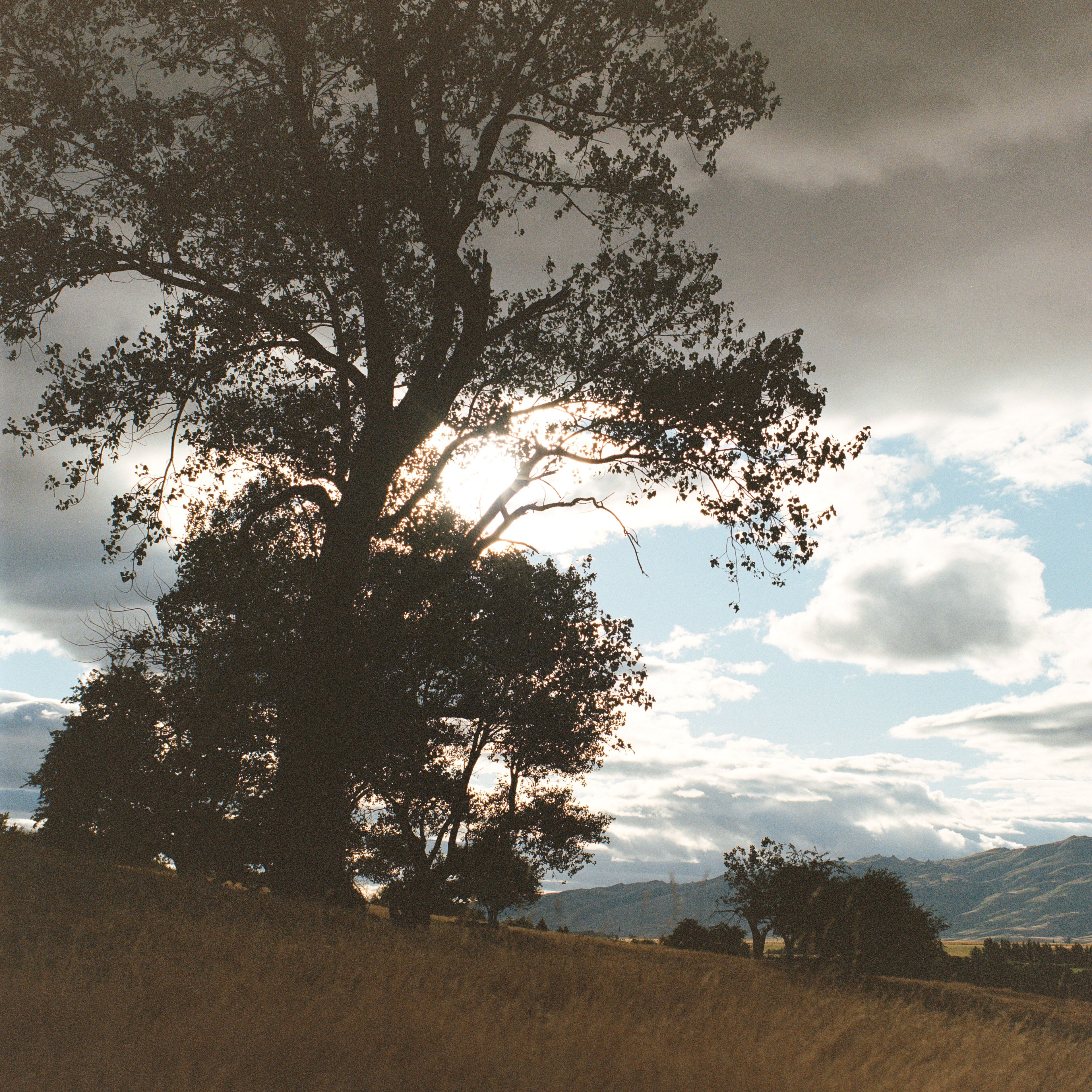 Early evening in Ida Valley.