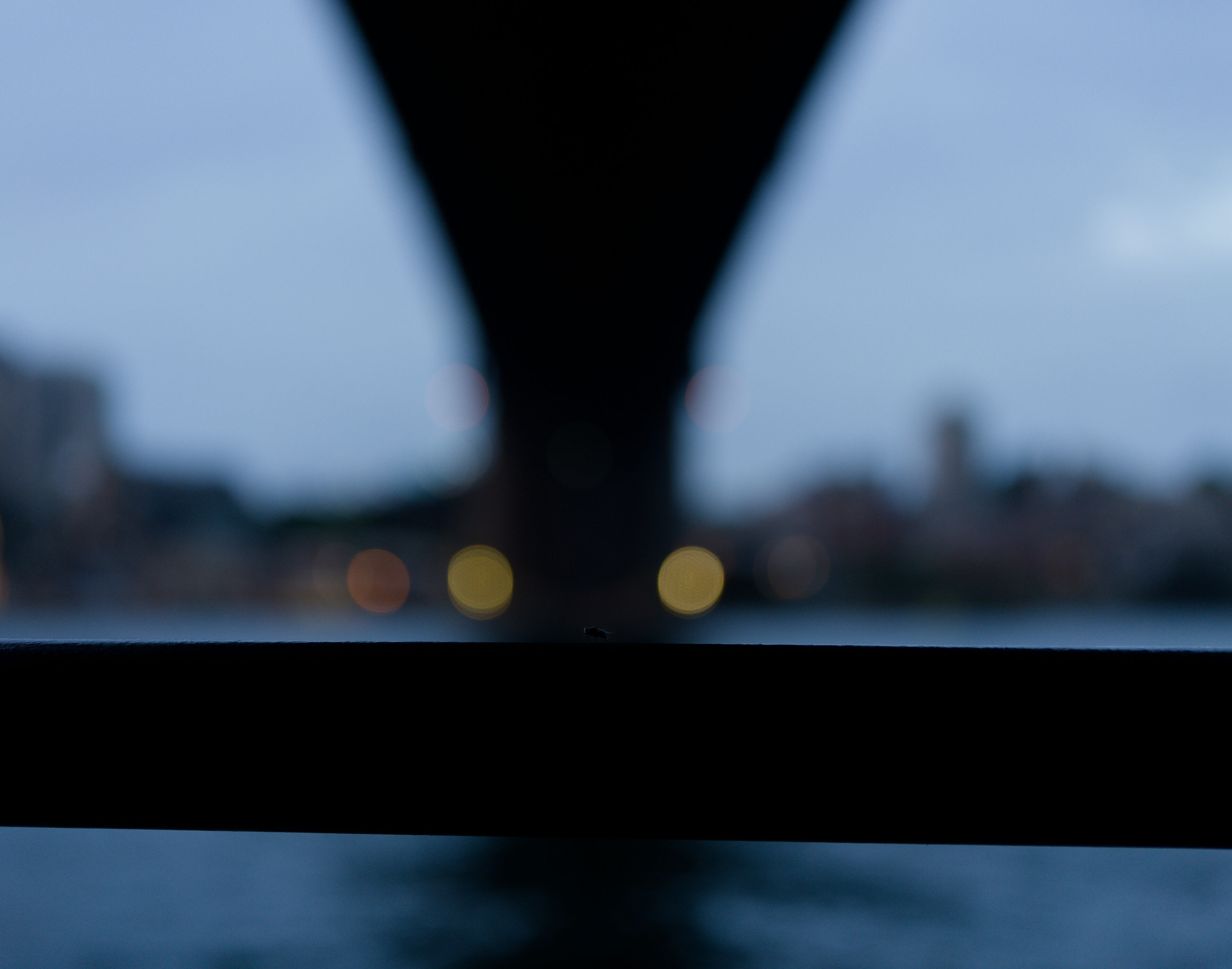 Under the Sydney Harbour Bridge.