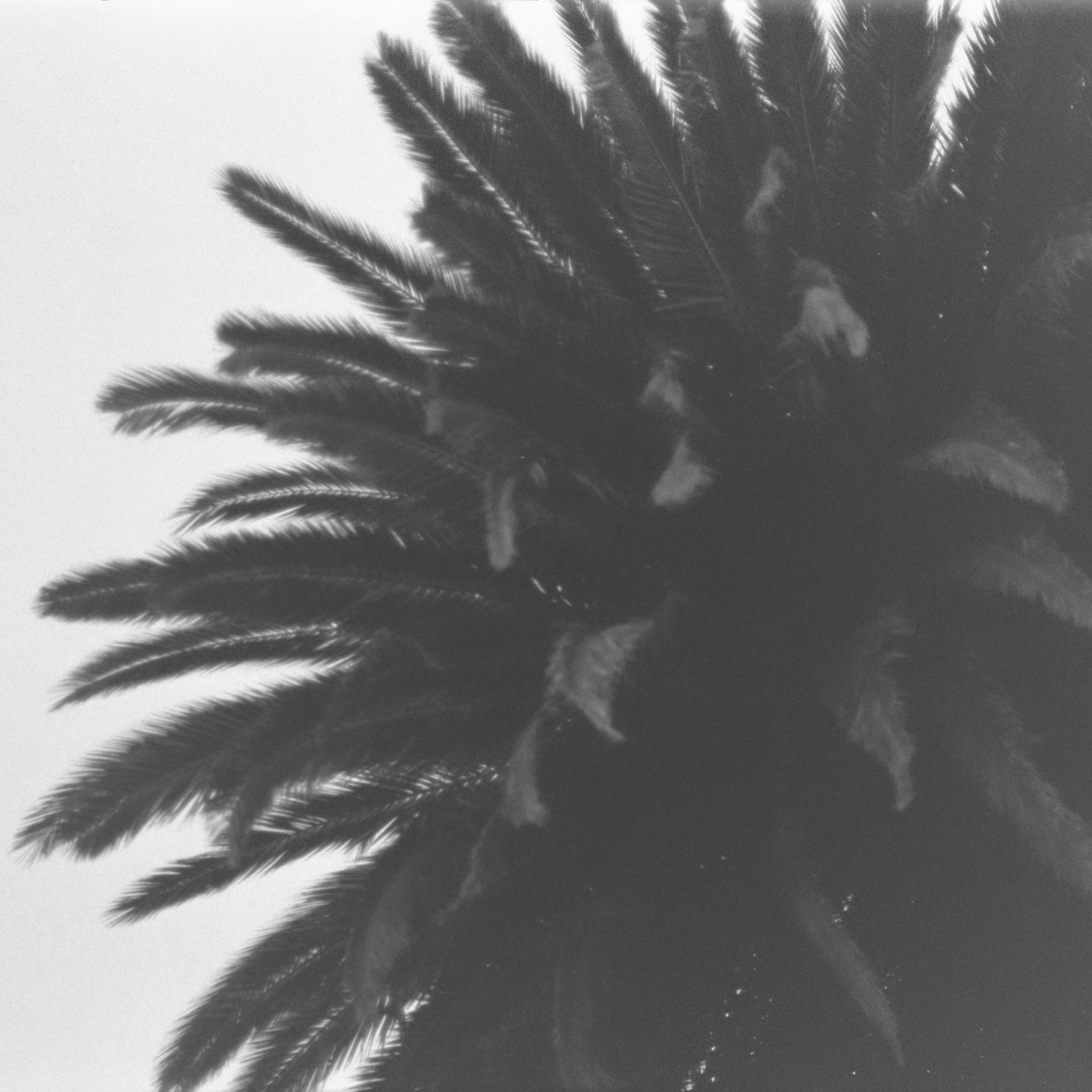 Out of focus, but nice glow.