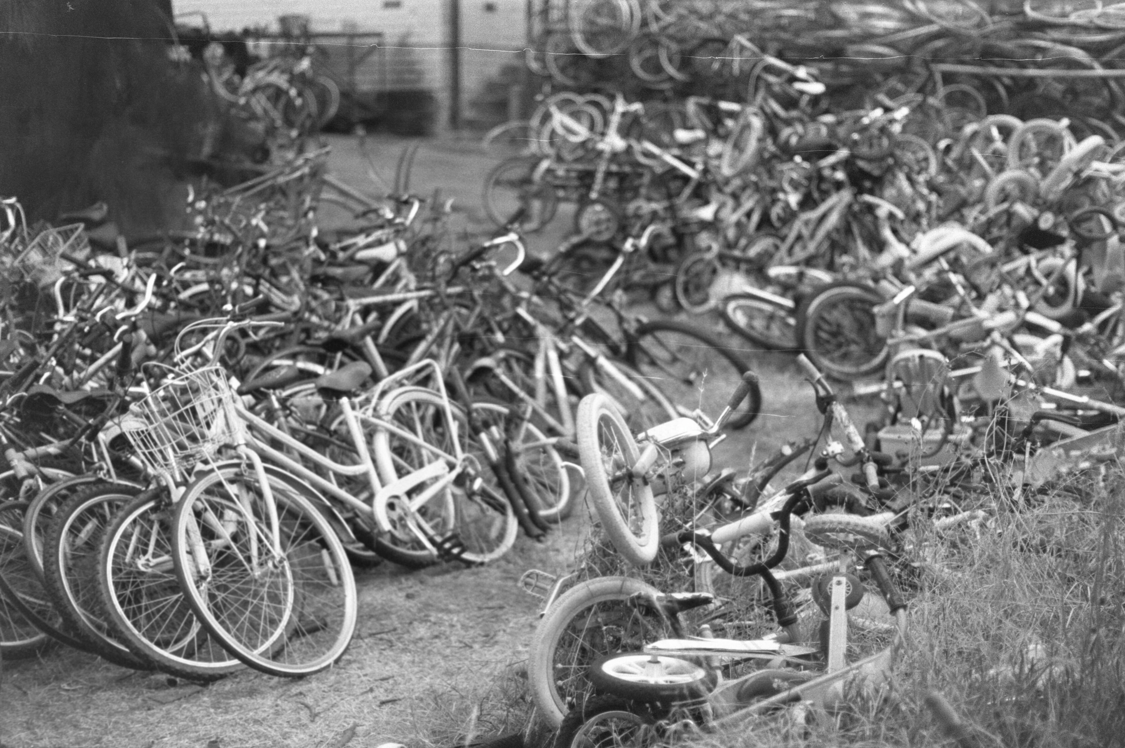 Footscray bicycle graveyard.