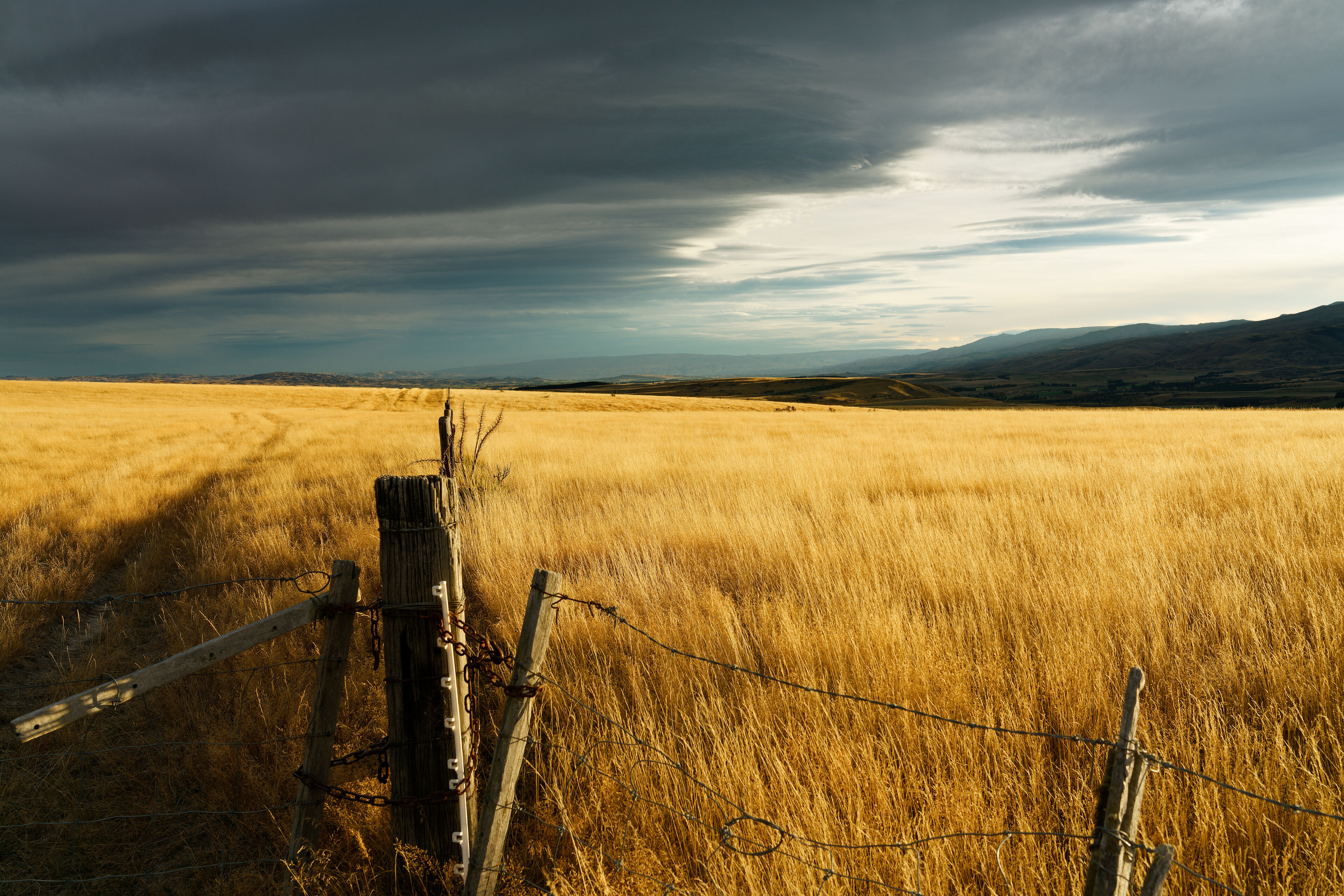 St Bathans Downs II.