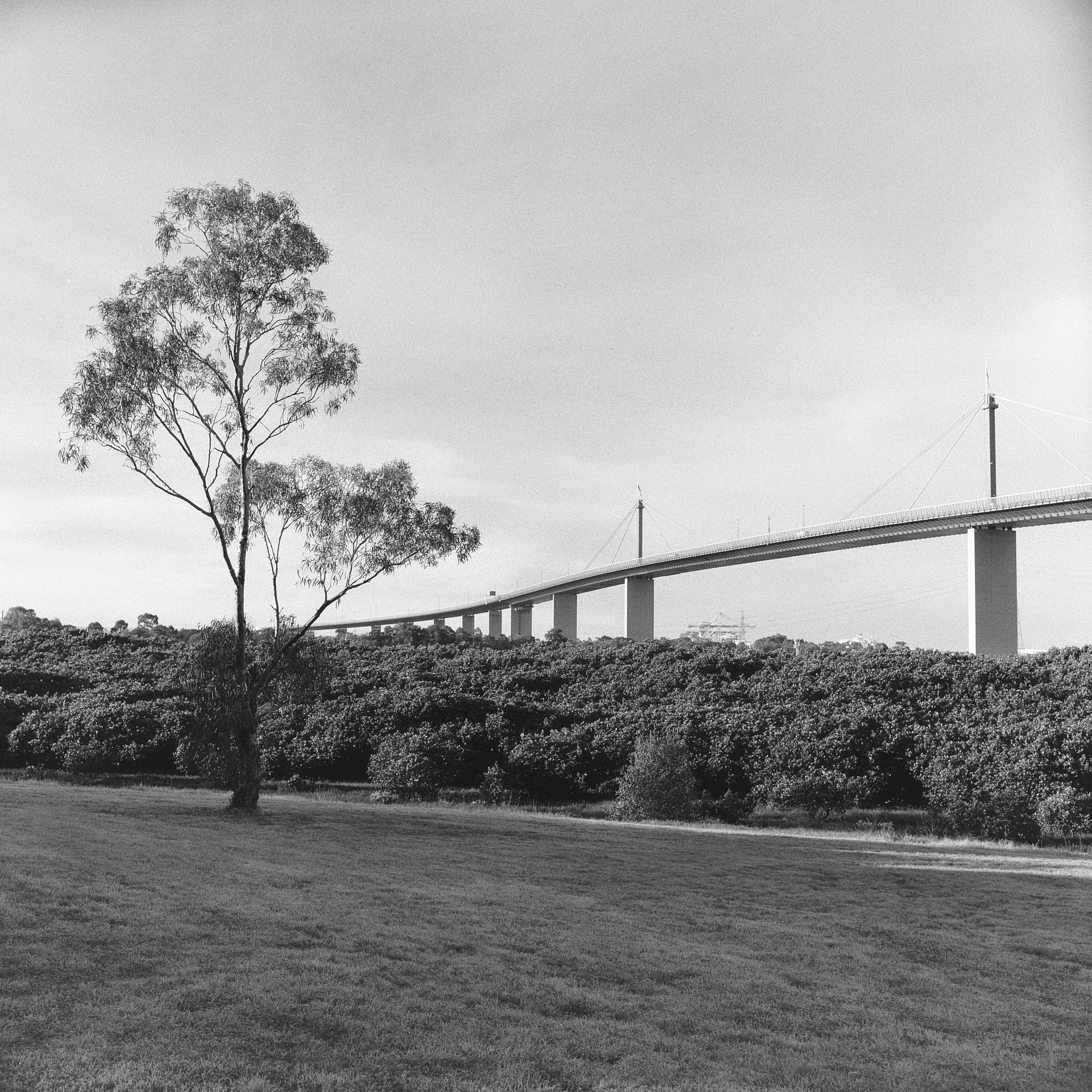 West Gate Bridge.